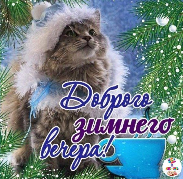 добрейшего зимнего вечера