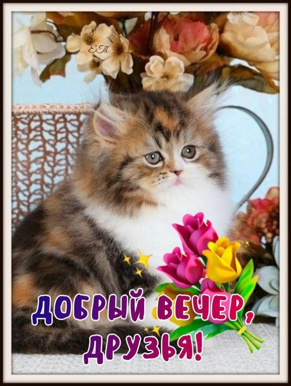 доброго вечера друзья