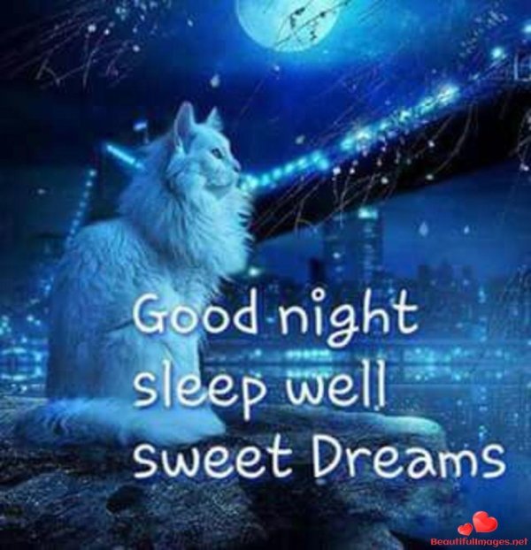 добрая ночь