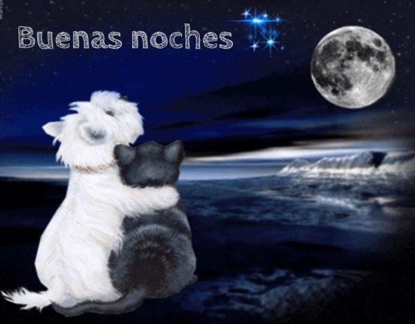 доброй ночи с животными