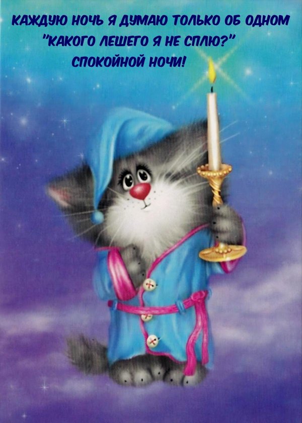 котики алексея долотова