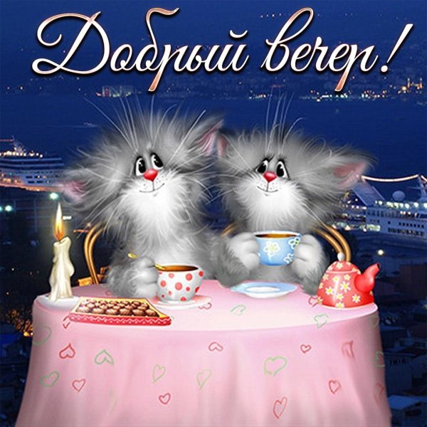 коты алексея долотова