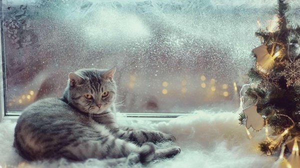 уютная зима