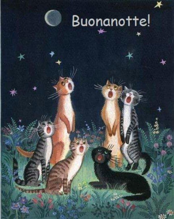 кошачий хор