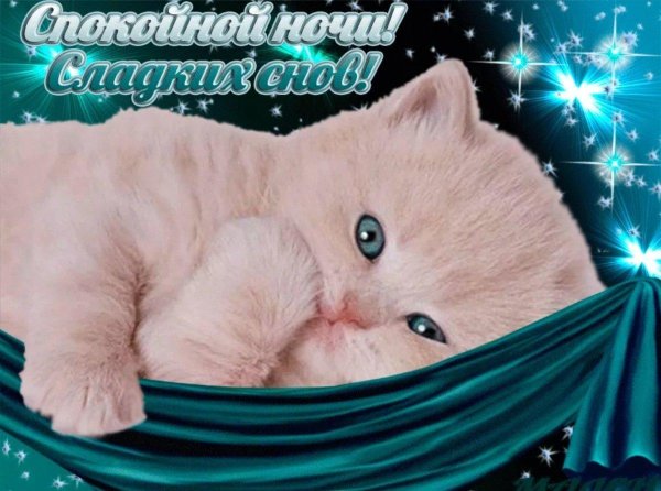открытки спок ночи красивые