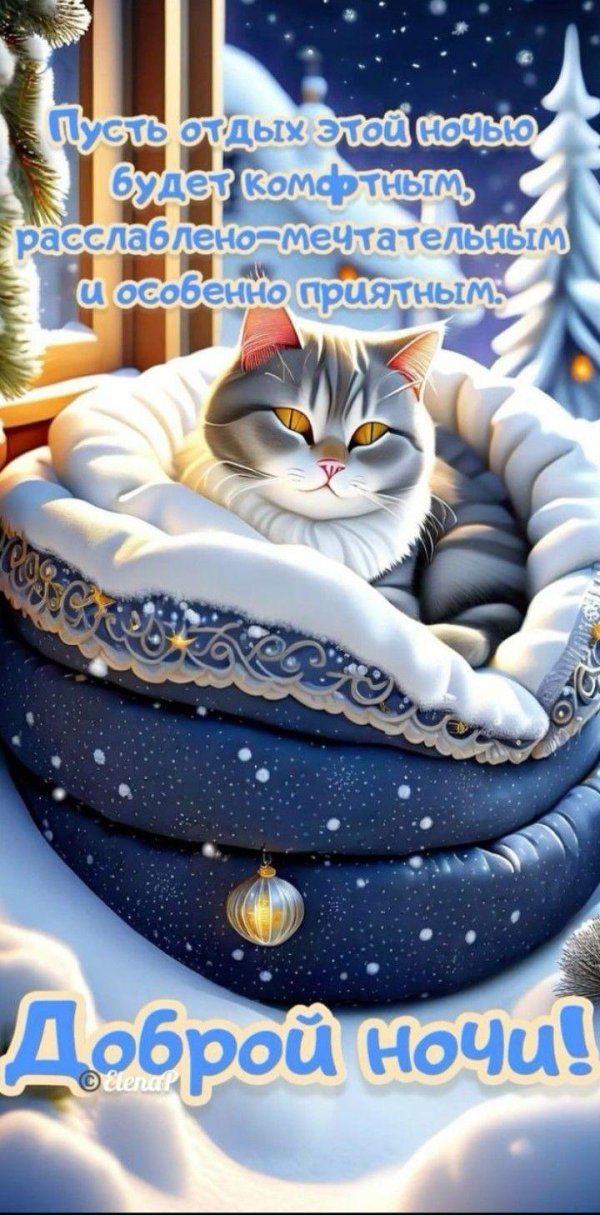 открытка сладких снов