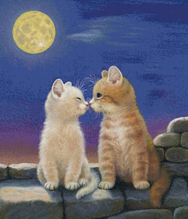 добрый вечер коты