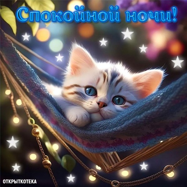 котенок спокойной ночи