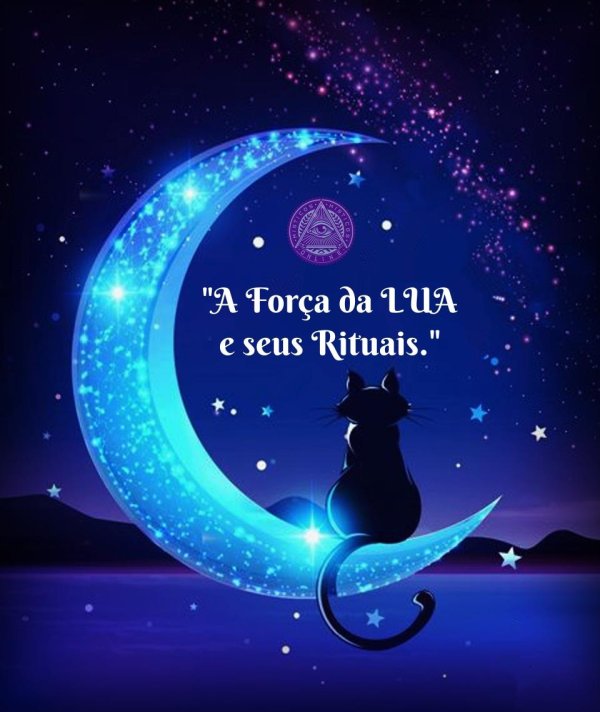 лунные коты