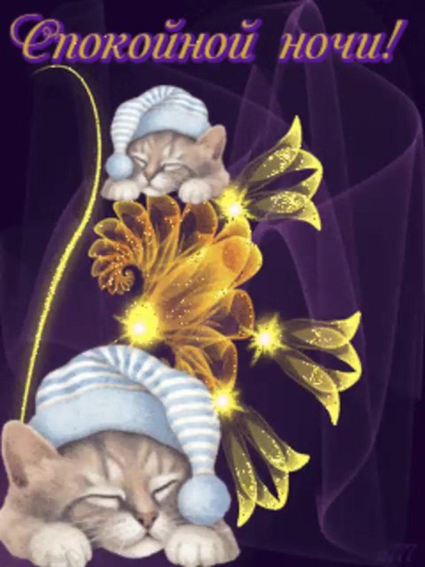открытки спокойной ночи красивые новые