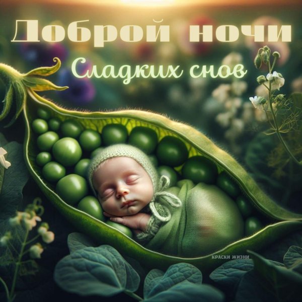 доброй ночи сладких снов красивые