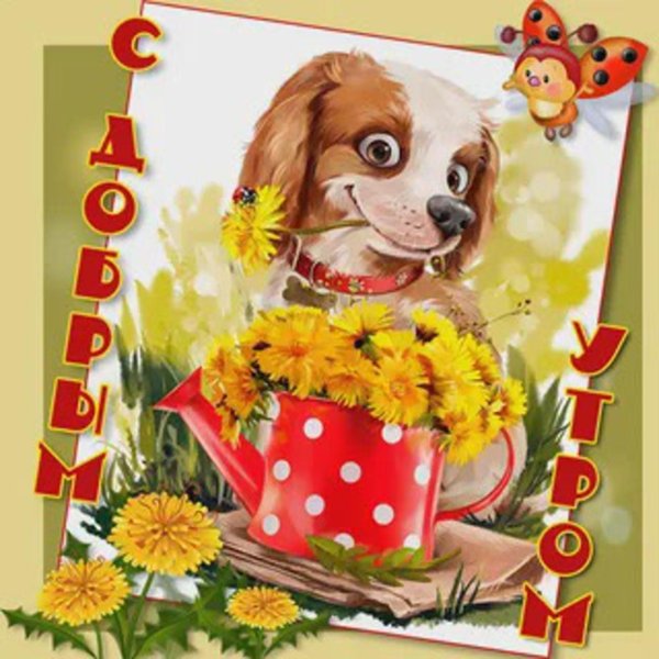 открытки с добрым утром