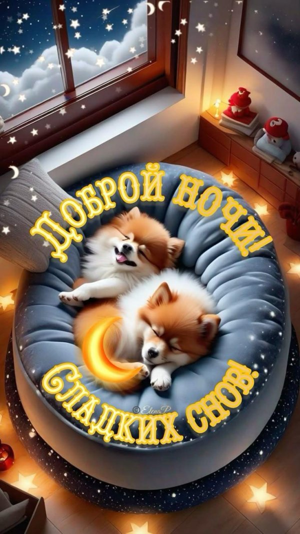 добрая ночь