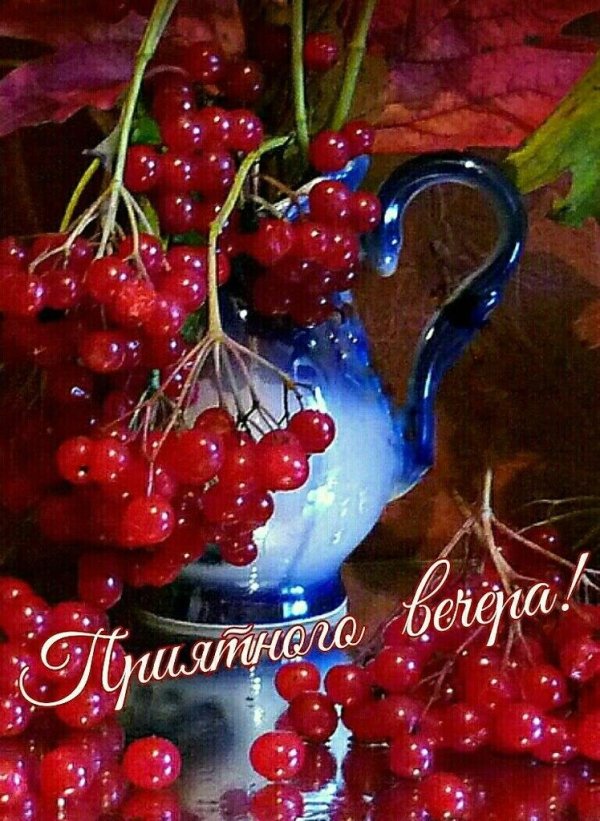 рябина калина