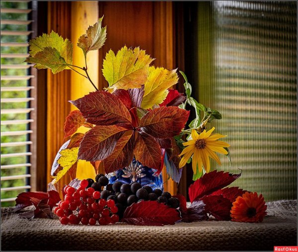 осенние мотивы