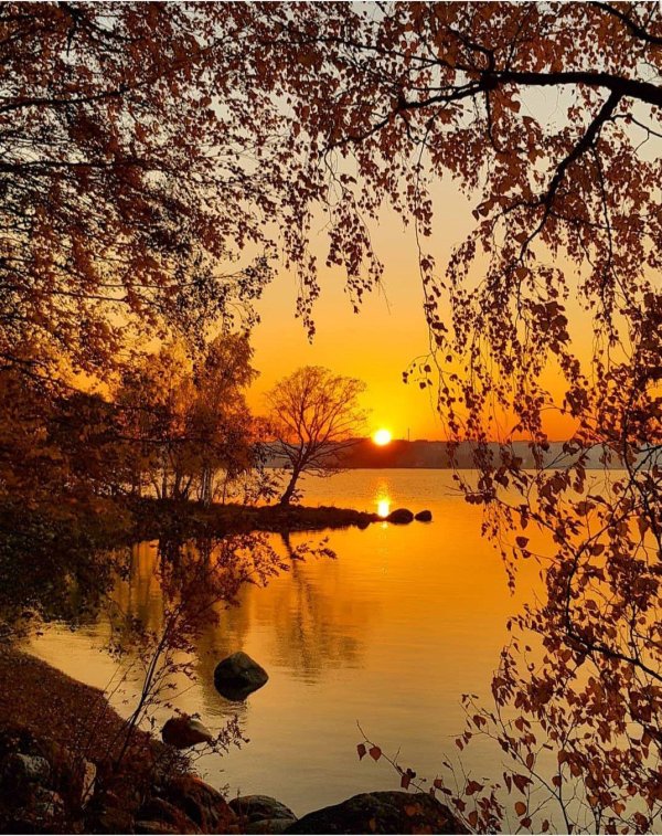 вечер природа