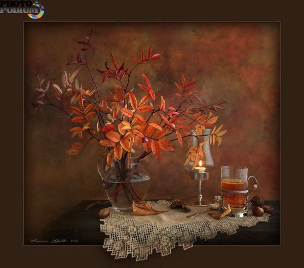 луиза гельтс фотонатюрморты