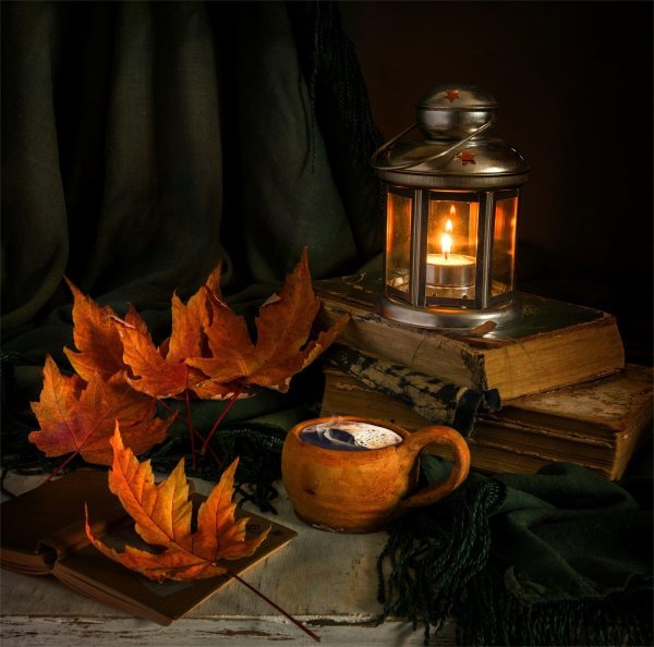 осенней ночи