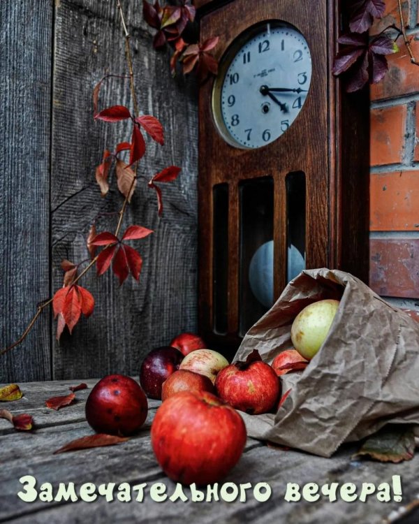 осень вечер