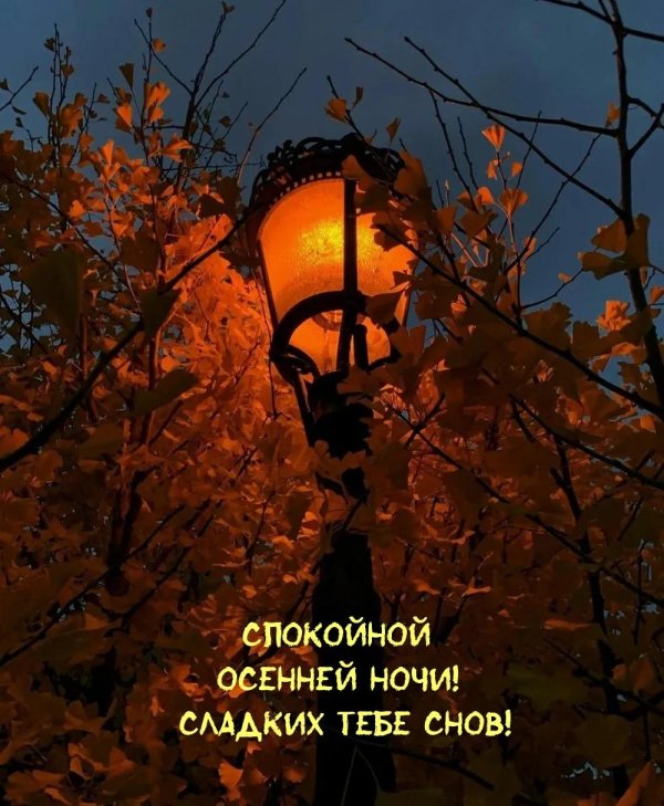 спокойной о енней ночи