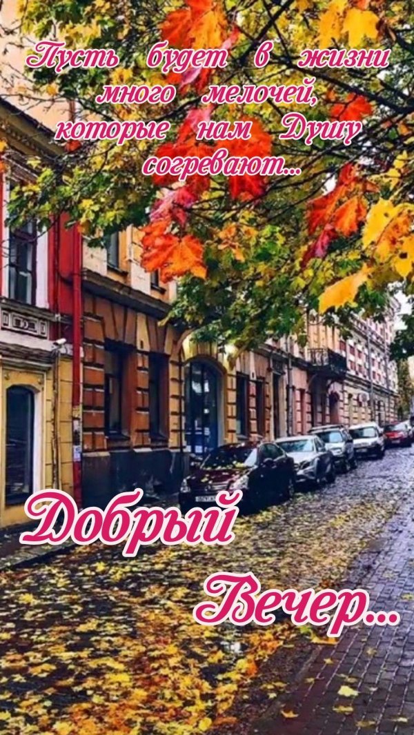 вечера доброго