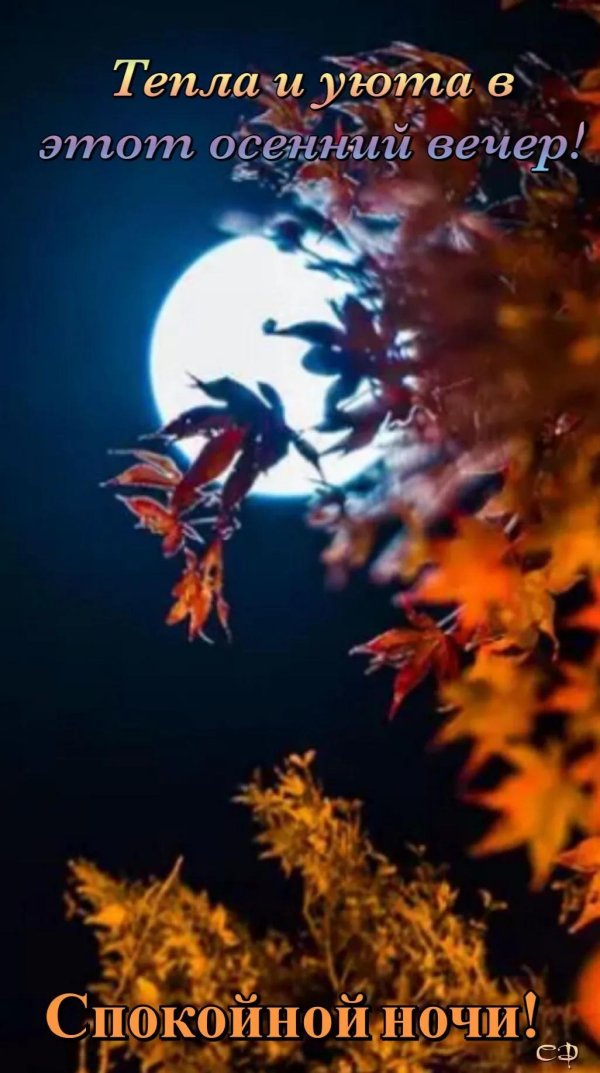 осенней ночи