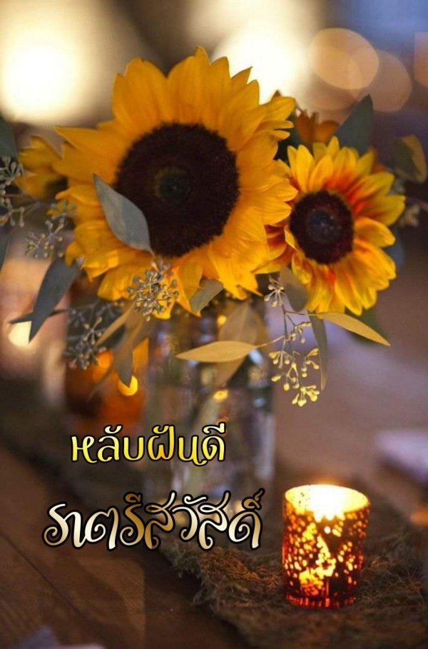 sunflowers and daisies