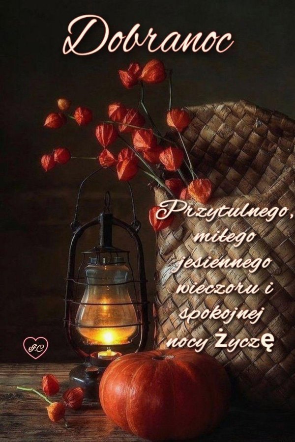 ирина приходько фотонатюрморты