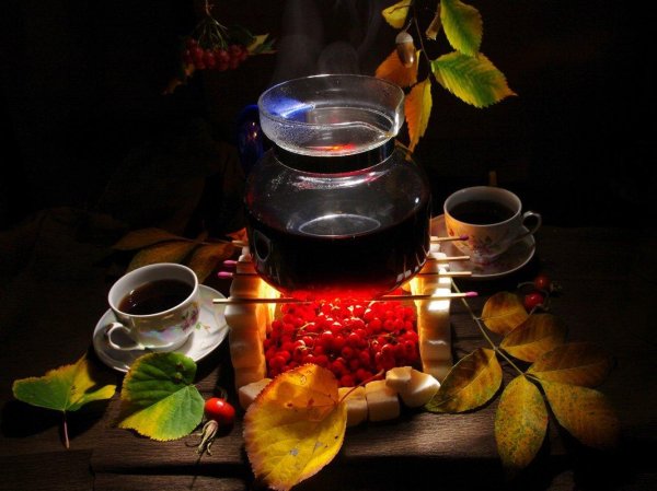 рябиновый чай