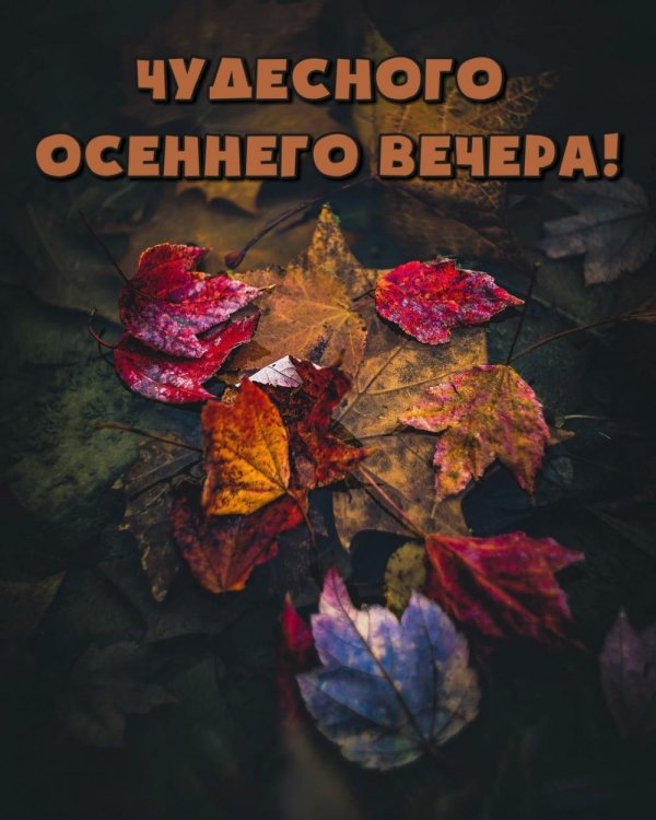 осеннего вечера