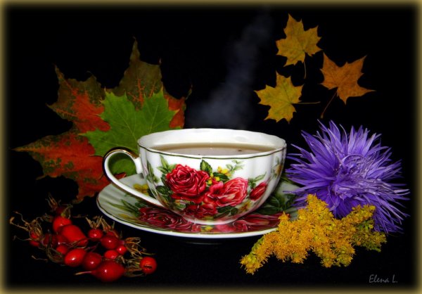 осеннее чаепитие