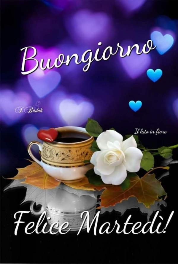 buongiorno buon mercoledi