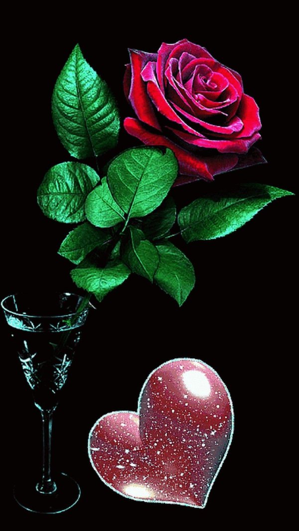 сверкающие розы