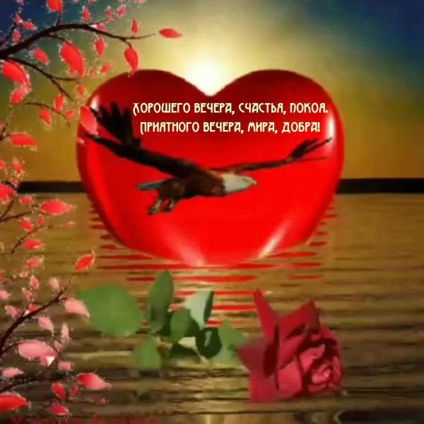 хорошего вечера любимая
