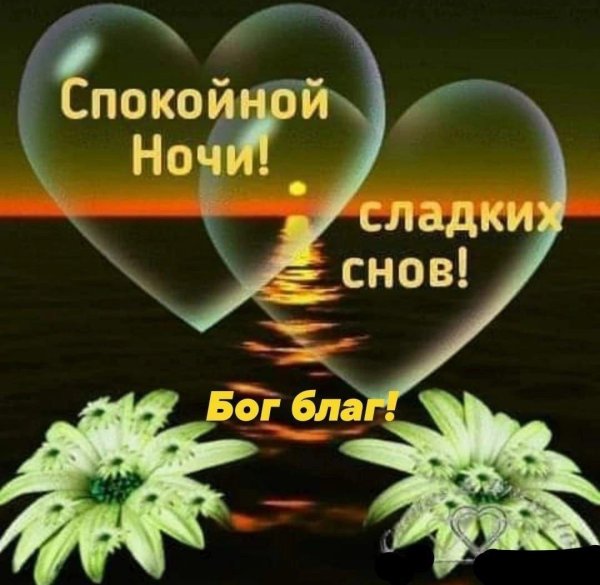 спокойной ночи сладких снов