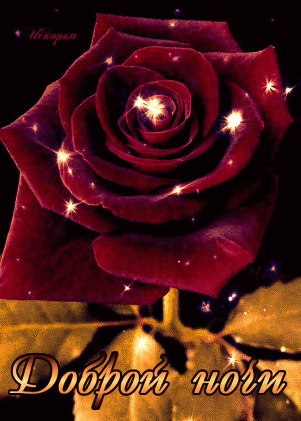 спокойной ночи цветы