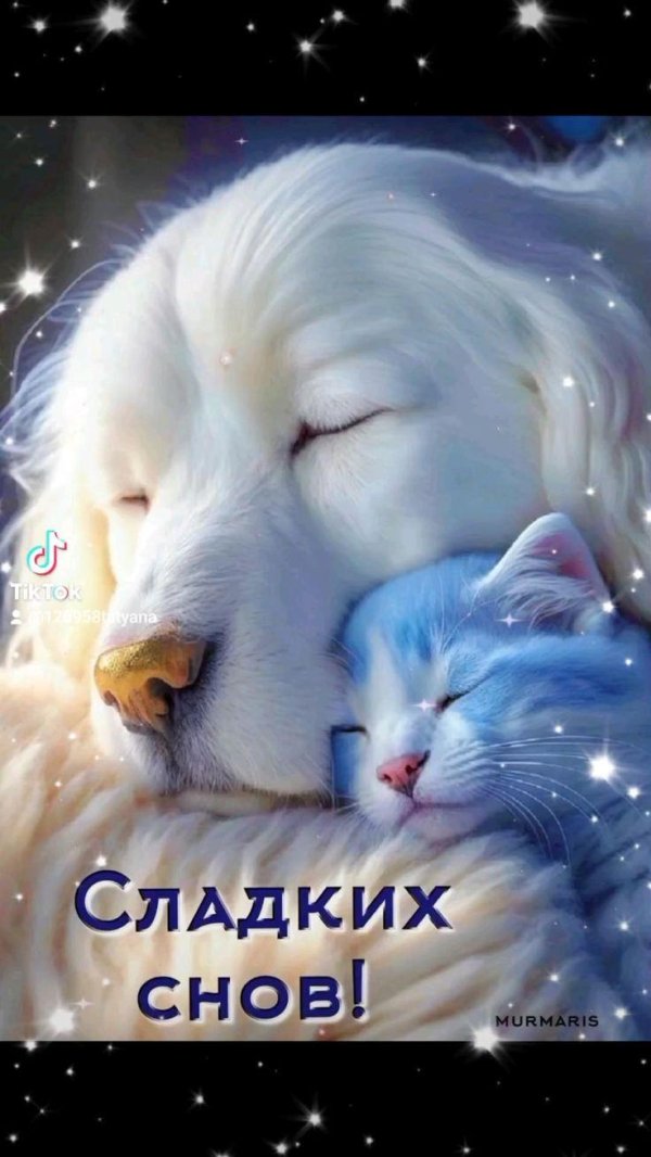 сладкие сны