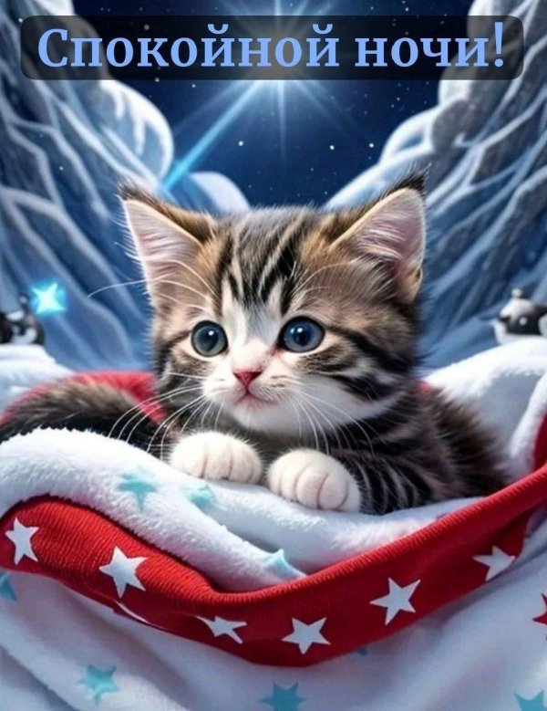 котенок спокойной ночи