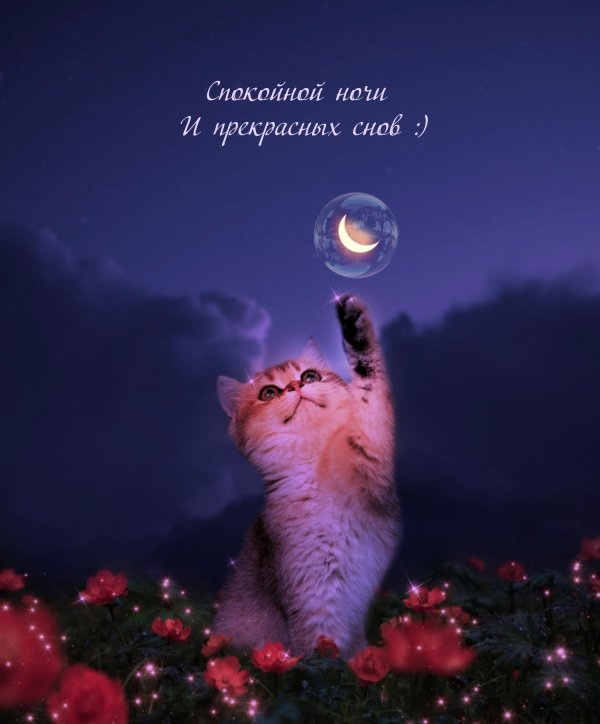 спокойной ночи необычно