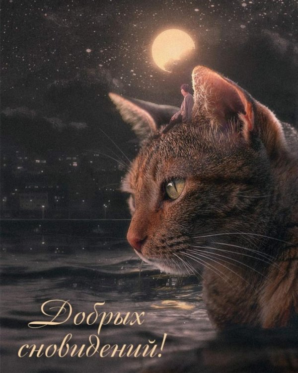 добрых сновидений