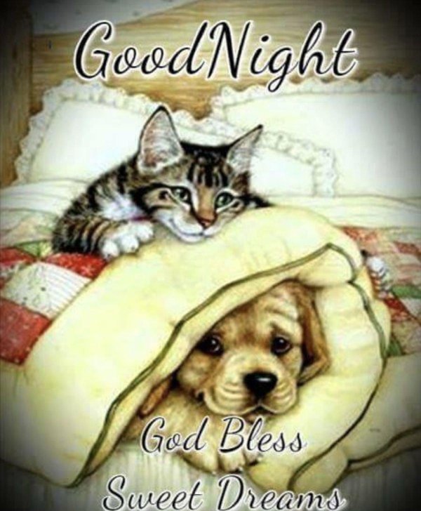 good night and sweet dreams