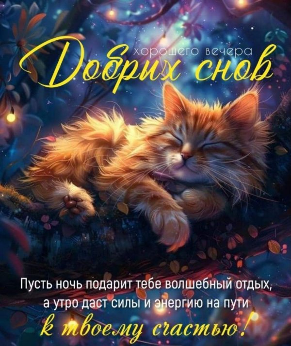 спокойная ночи