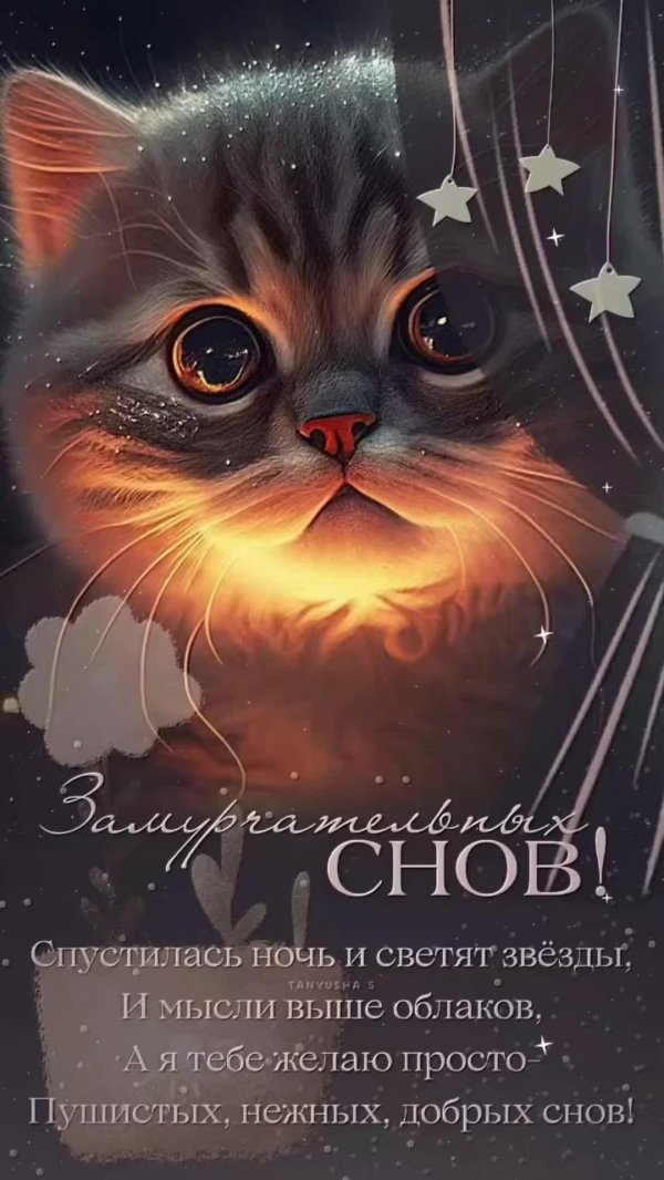 счастливой ночи