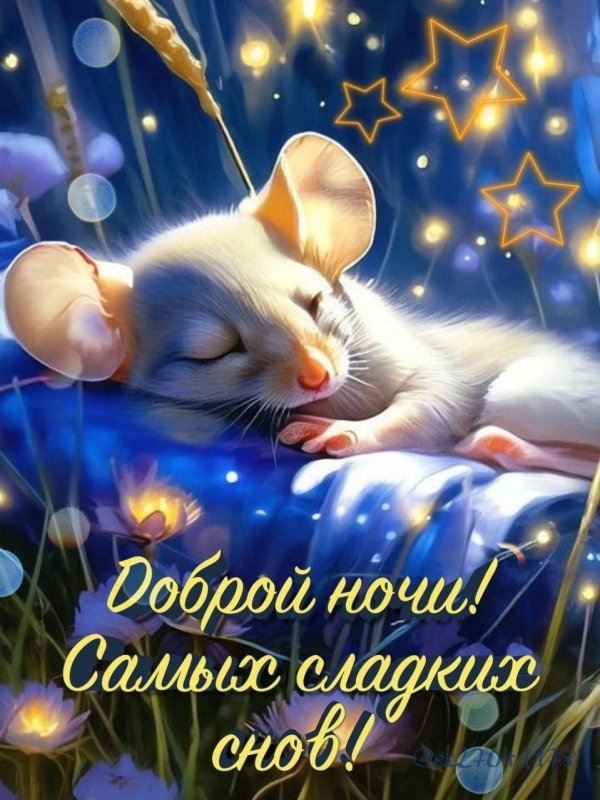 доброй ночи и сладких снов