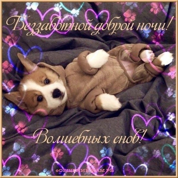 спок ночи сладких снов