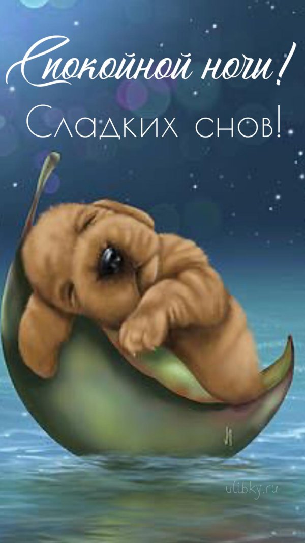 спокойной ночи милые животные
