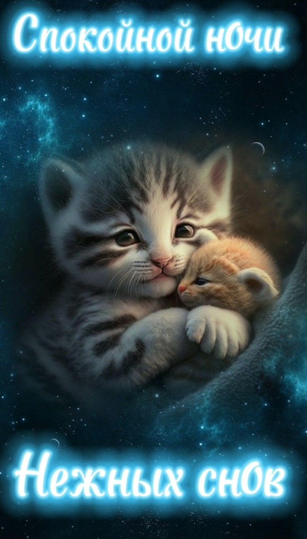 добрая ночь