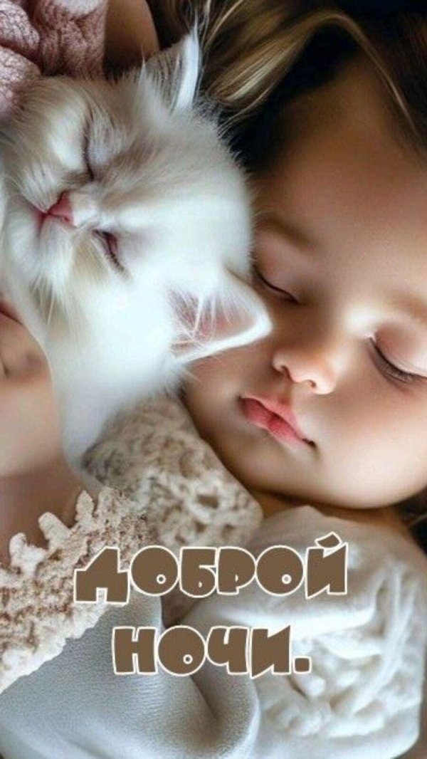 сладкие сны