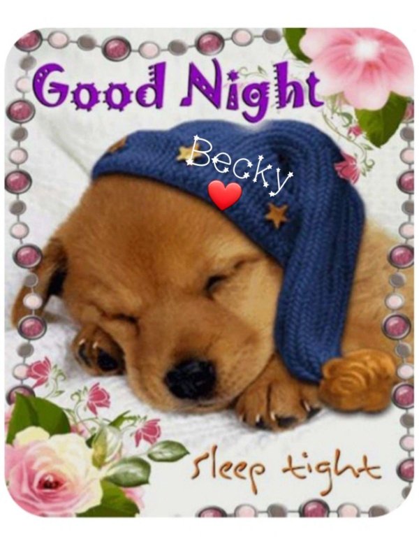 красивые щенки