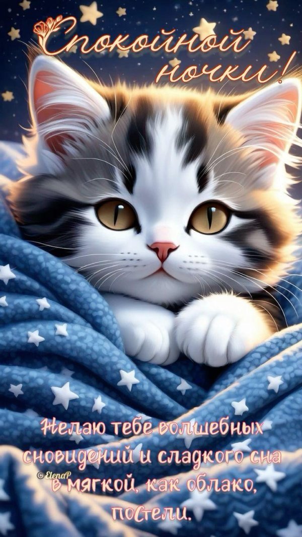 добрейшей ночки